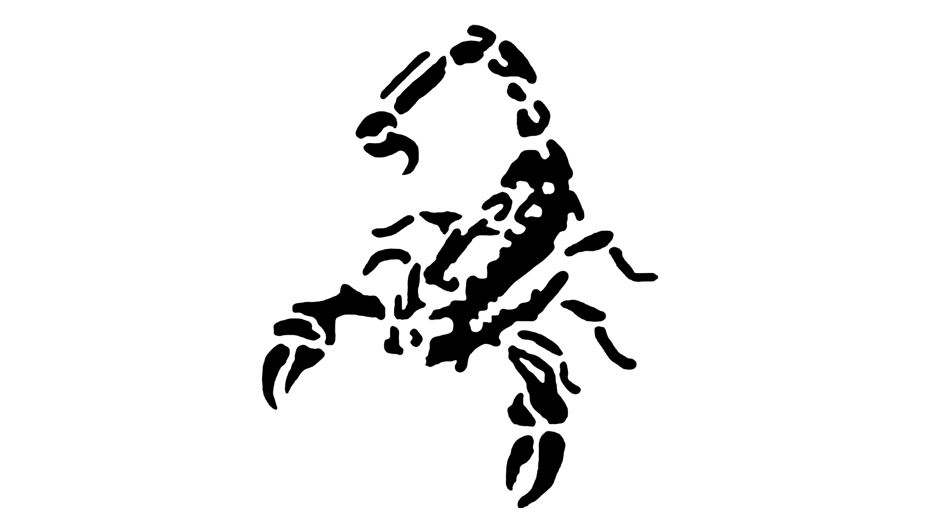 TSV Plattling Basketball – Scorpions